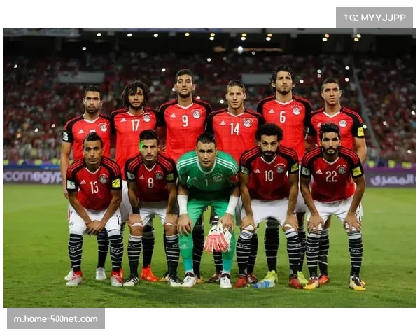 非洲杯改制前最后一届 各队战意分化明显